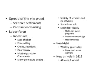 • Spread of the vile weed 
– Scattered settlements 
– Constant encroaching 
• Labor force 
– Indentured 
• Lack of labor 
• Poor, willing 
• Cheap, abundant 
• 2x or 3x pay 
• Most migrants to 
Chesapeake 
• Many premature deaths 
• Society of servants and 
ex-servants 
• Sometimes sold 
• Extended– legally 
– Stole, ran away, 
pregnant 
– Women no marriage 
– Freedom dues 
– Headright 
• Wealthy gentry class 
– More land, more 
workers 
– New arrivals in 1619 
• Africans & wives? 
 