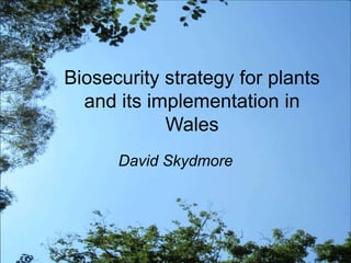 Biosecurity strategy for plants
and its implementation in
Wales
David Skydmore
 
