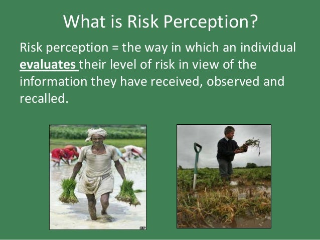 risk perception definition risk perception definition