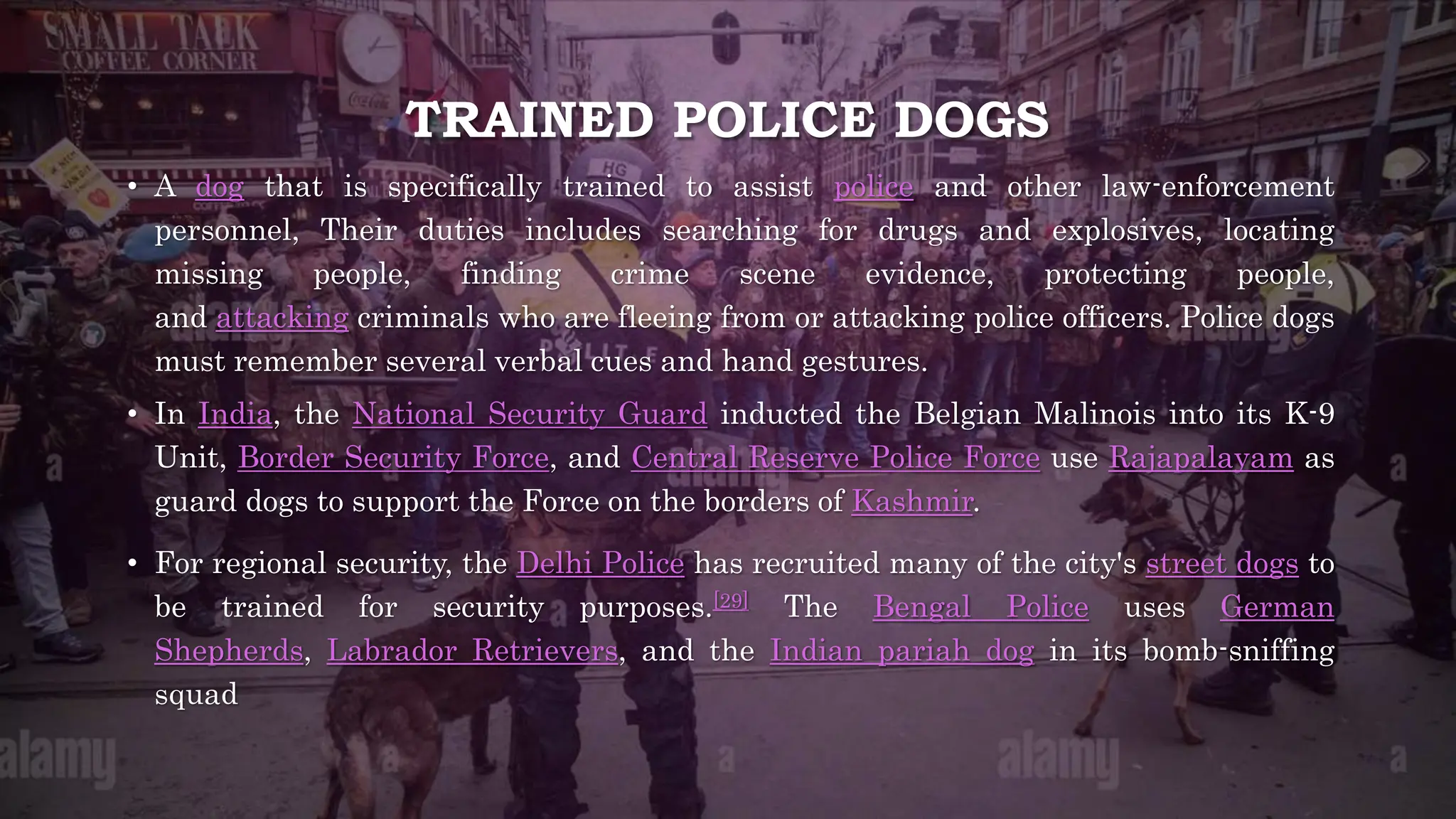 TRAINED POLICE DOGS
• A dog that is specifically trained to assist police and other law-enforcement
personnel, Their duties includes searching for drugs and explosives, locating
missing people, finding crime scene evidence, protecting people,
and attacking criminals who are fleeing from or attacking police officers. Police dogs
must remember several verbal cues and hand gestures.
• In India, the National Security Guard inducted the Belgian Malinois into its K-9
Unit, Border Security Force, and Central Reserve Police Force use Rajapalayam as
guard dogs to support the Force on the borders of Kashmir.
• For regional security, the Delhi Police has recruited many of the city's street dogs to
be trained for security purposes.[29] The Bengal Police uses German
Shepherds, Labrador Retrievers, and the Indian pariah dog in its bomb-sniffing
squad
 