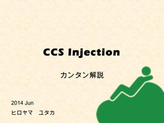 CCS Injection
カンタン解説
2014 Jun 　
ヒロヤマ　ユタカ
 