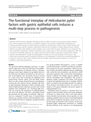 REVIEW Open Access
The functional interplay of Helicobacter pylori
factors with gastric epithelial cells induces a
multi-step process in pathogenesis
Gernot Posselt1
, Steffen Backert2
and Silja Wessler1*
Abstract
Infections with the human pathogen Helicobacter pylori (H. pylori) can lead to severe gastric diseases ranging
from chronic gastritis and ulceration to neoplastic changes in the stomach. Development and progress of
H. pylori-associated disorders are determined by multifarious bacterial factors. Many of them interact directly with
host cells or require specific receptors, while others enter the host cytoplasm to derail cellular functions. Several
adhesins (e.g. BabA, SabA, AlpA/B, or OipA) establish close contact with the gastric epithelium as an important first
step in persistent colonization. Soluble H. pylori factors (e.g. urease, VacA, or HtrA) have been suggested to alter cell
survival and intercellular adhesions. Via a type IV secretion system (T4SS), H. pylori also translocates the effector
cytotoxin-associated gene A (CagA) and peptidoglycan directly into the host cytoplasm, where cancer- and
inflammation-associated signal transduction pathways can be deregulated. Through these manifold possibilities of
interaction with host cells, H. pylori interferes with the complex signal transduction networks in its host and
mediates a multi-step pathogenesis.
Review
The interaction between pathogens and tissue- or organ-
specific target cells in their host determines the establish-
ment and development of infectious diseases. Therefore,
pathogens must expose adapted, but specialized factors to
overcome the host defense mechanisms at the tissue sur-
face. In the digestive tract, the gastric mucosa is covered
by a thick mucus layer protecting the epithelium from
protein-lysing enzymes, gastric acid and finally chyme,
which can also contain unwanted bacteria and pathogens.
Forming this first effective barrier, epithelial cells show
an apico-basolateral organization, which is primarily main-
tained by tight junctions, adherence junctions and a strictly
regulated actin cytoskeleton [1,2]. Functional tight junc-
tions are crucial for the maintenance of epithelial polarity
and cell-to-cell adhesion, and form a paracellular barrier
that precludes the free passage of molecules. Tight junc-
tions are composed of several types of transmembrane
proteins (e.g. occludin, claudins, junctional adhesion mole-
cules [JAMs]) that bind to cytoplasmic peripheral proteins
(e.g. zonula occludens [ZO] protein-1, -2 and −3, cingulin
or multi-PDZ protein-1 [MUPP1]) and link the transmem-
brane proteins to the actin cytoskeleton. Adherence junc-
tions mediate intercellular adhesions between neighboring
cells, control the actin cytoskeleton and, therefore, exhibit
anti-tumor properties. They consist of the transmembrane
protein E-cadherin that bridges adjacent epithelial cells
with the intracellular actin cytoskeleton. This involves a
signaling complex composed of β-catenin, p120-catenin,
α-catenin and epithelial protein lost in neoplasm (EPLIN),
which is recruited to the intracellular domain of E-cadherin.
These dynamic intercellular junctions are crucial for the
integrity of the gastric epithelium and protect against in-
truding pathogens [1,2].
Helicobacter pylori (H. pylori) is a bacterial class-I car-
cinogen [3] that specifically colonizes the gastric epithelium
of humans as a unique niche, where it can induce inflam-
matory disorders (e.g. ulceration, chronic gastritis, etc.) and
malignant neoplastic diseases (mucosa-associated lymphoid
tissue [MALT] lymphoma and gastric cancer) [4,5]. To re-
sist the hostile environment in the stomach, H. pylori has
developed highly sophisticated mechanisms to establish
life-long infections in the stomach if not therapeutically
* Correspondence: silja.wessler@sbg.ac.at
1
Division of Molecular Biology, Department of Microbiology, Paris-Lodron
University, Salzburg, Austria
Full list of author information is available at the end of the article
© 2013 Posselt et al.; licensee BioMed Central Ltd. This is an open access article distributed under the terms of the Creative
Commons Attribution License (http://creativecommons.org/licenses/by/2.0), which permits unrestricted use, distribution, and
reproduction in any medium, provided the original work is properly cited.
Posselt et al. Cell Communication and Signaling 2013, 11:77
http://www.biosignaling.com/content/11/1/77
 