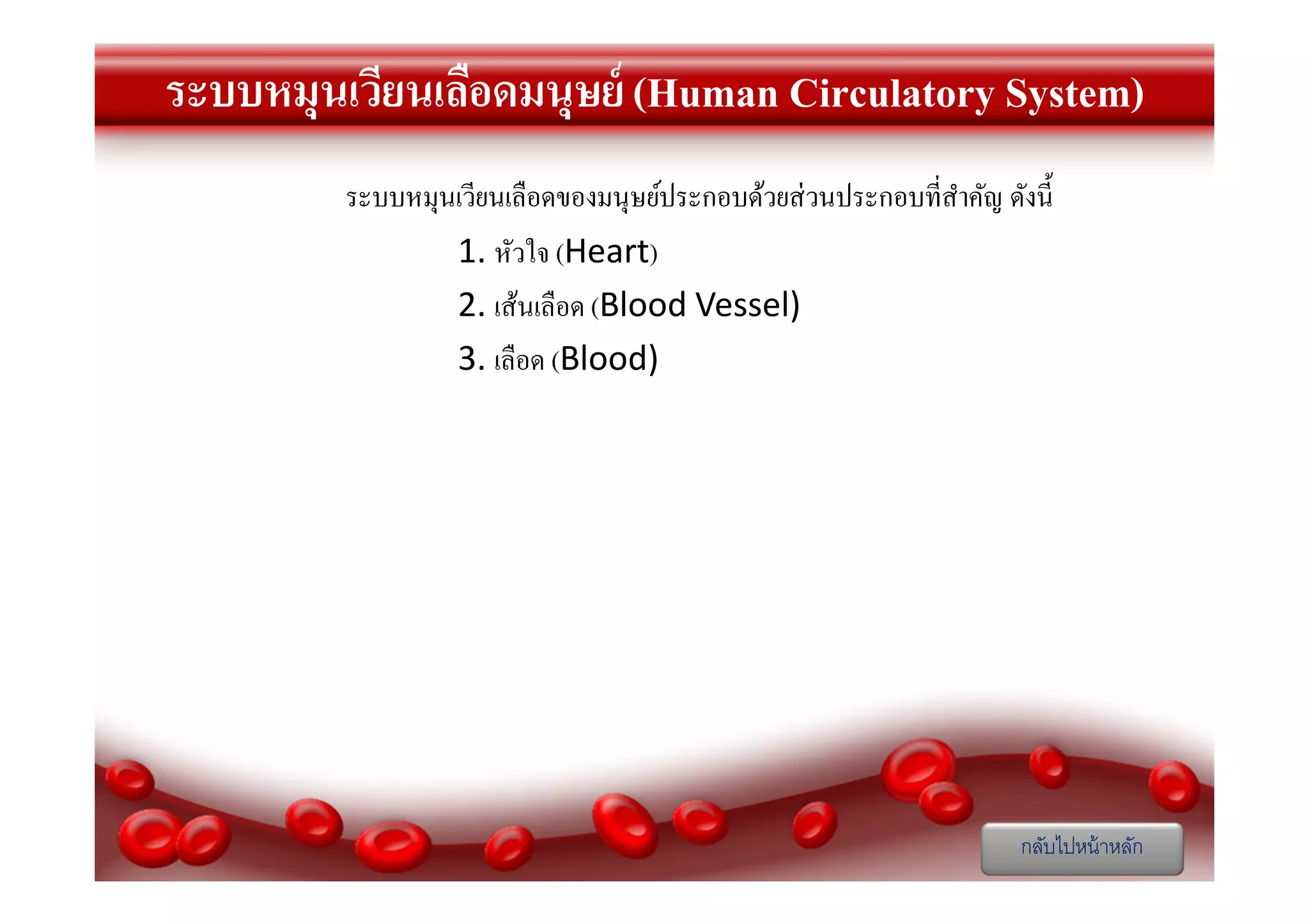 ระบบหมุนเวียนเลือดมนุษย์ (Human Circulatory System)
ระบบหมุนเวียนเลือดของมนุษย์ประกอบด้วยส่ วนประกอบทีสําคัญ ดังนี
1. หัวใจ (Heart)
2. เส้นเลือด (Blood Vessel)
3. เลือด (Blood)

กลับไปหน้ าหลัก

 