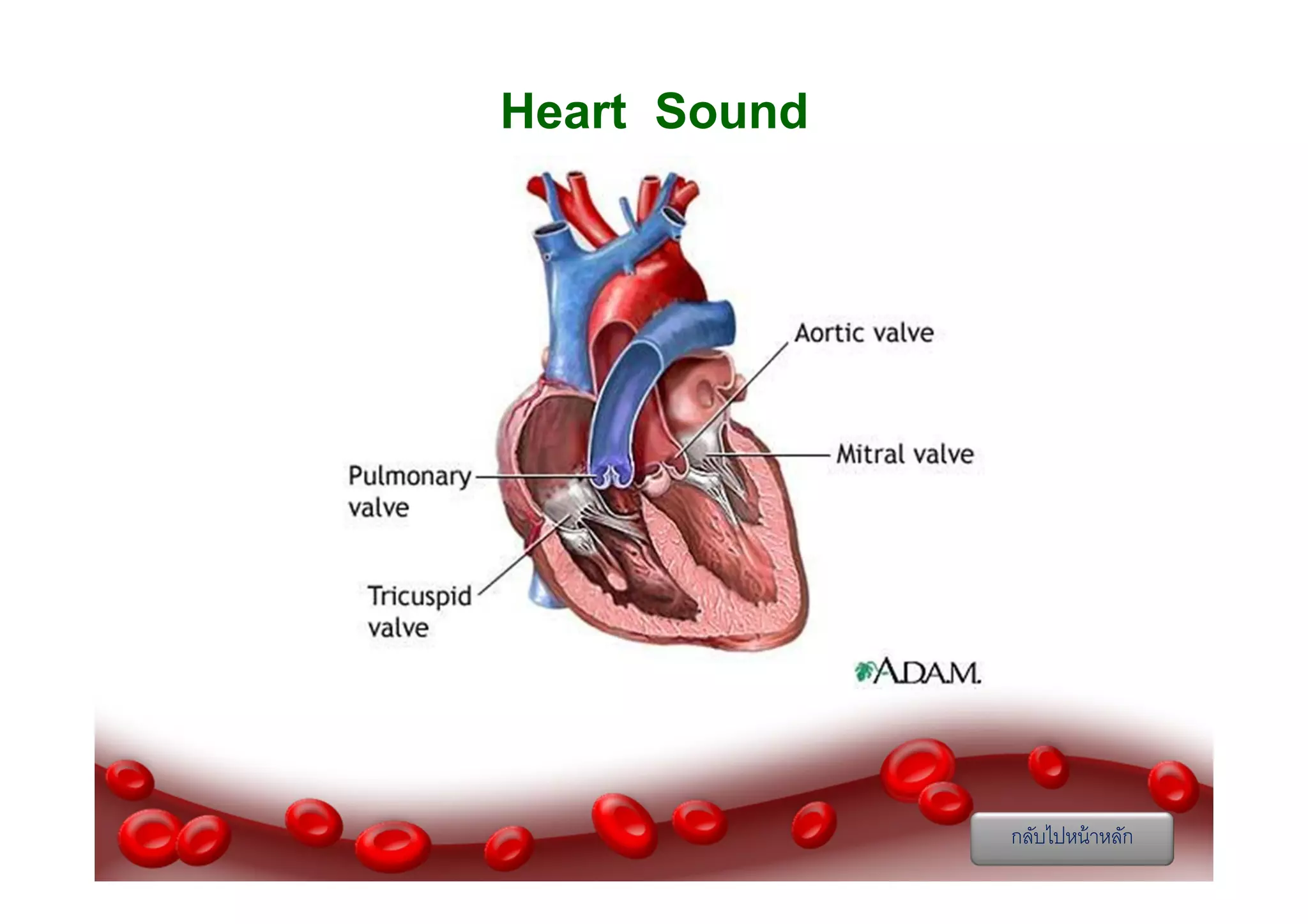 Heart Sound

กลับไปหน้ าหลัก

 