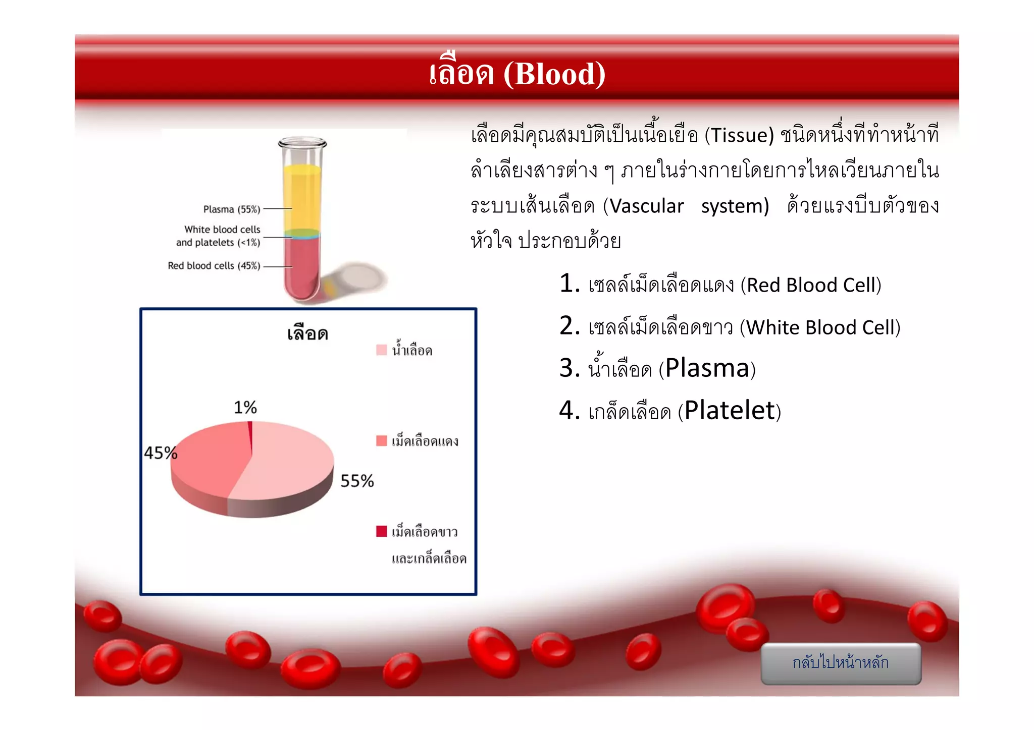 เลือด (Blood)
เลือดมีคณสมบัติเป็ นเนือเยื อ (Tissue) ชนิดหนึงที ทําหน้ าที
ุ
ลําเลียงสารต่าง ๆ ภายในร่างกายโดยการไหลเวียนภายใน
ระบบเส้ นเลื อด (Vascular system) ด้ วยแรงบี บตัว ของ
หัวใจ ประกอบด้ วย
1. เซลล์เม็ดเลือดแดง (Red Blood Cell)
2. เซลล์เม็ดเลือดขาว (White Blood Cell)
3. นําเลือด (Plasma)
4. เกล็ดเลือด (Platelet)

กลับไปหน้ าหลัก

 