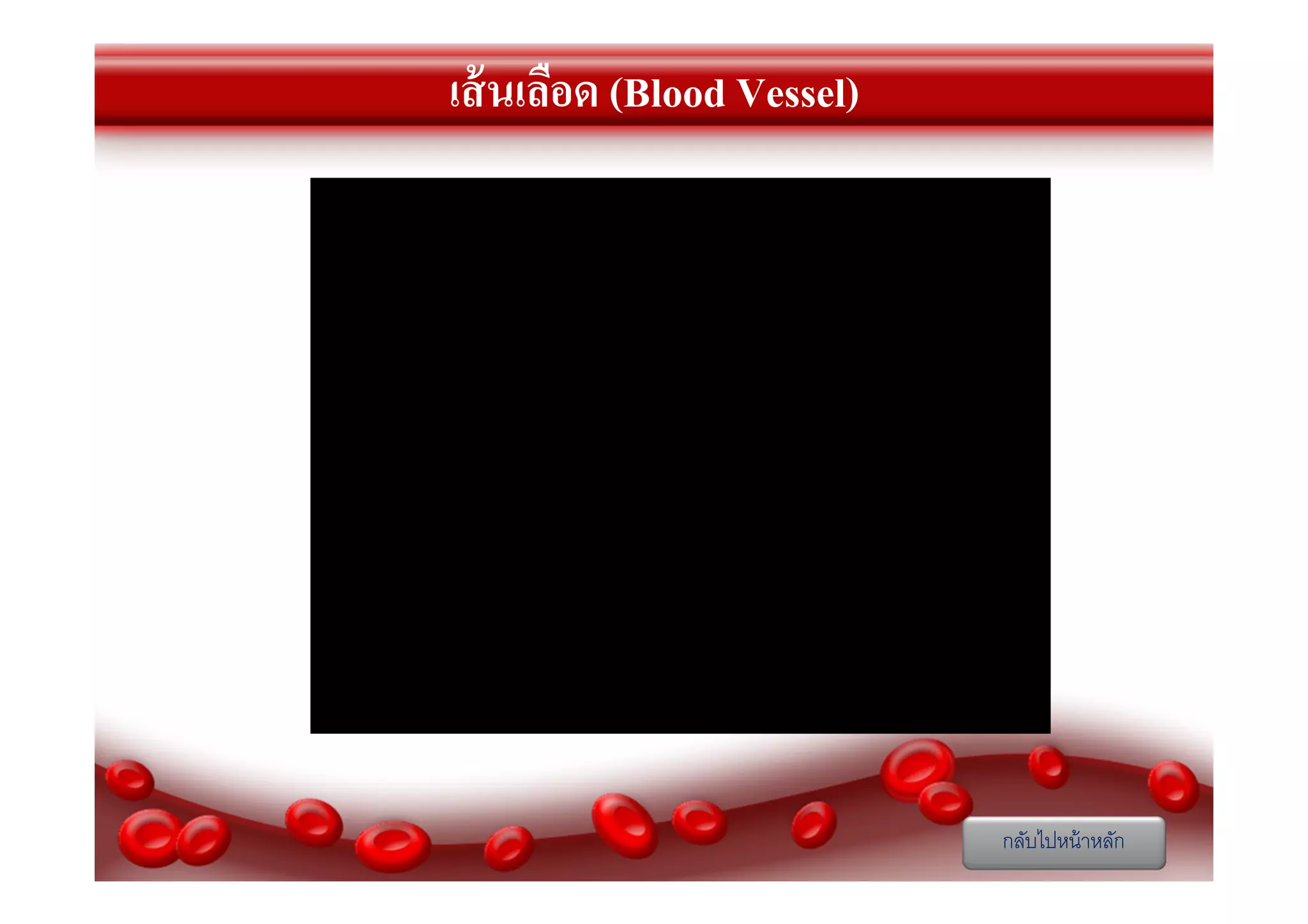 เส้ นเลือด (Blood Vessel)

กลับไปหน้ าหลัก

 