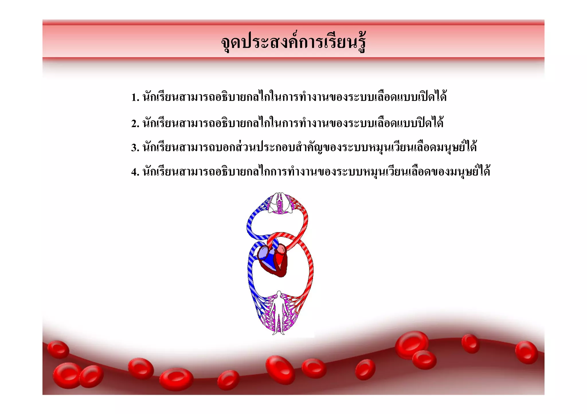 จุดประสงค์ การเรียนรู้
1. นักเรียนสามารถอธิบายกลไกในการทํางานของระบบเลือดแบบเปิ ดได้
2. นักเรียนสามารถอธิบายกลไกในการทํางานของระบบเลือดแบบปิ ดได้
3. นักเรียนสามารถบอกส่ วนประกอบสําคัญของระบบหมุนเวียนเลือดมนุษย์ ได้
4. นักเรียนสามารถอธิบายกลไกการทํางานของระบบหมุนเวียนเลือดของมนุษย์ได้

 