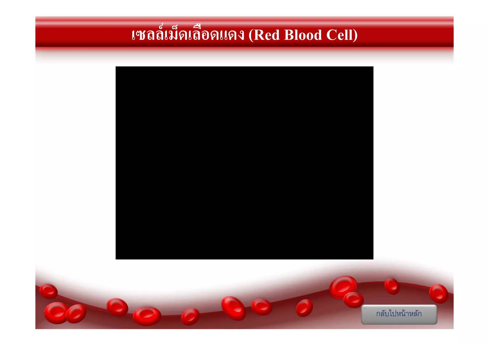 เซลล์เม็ดเลือดแดง (Red Blood Cell)

กลับไปหน้ าหลัก

 