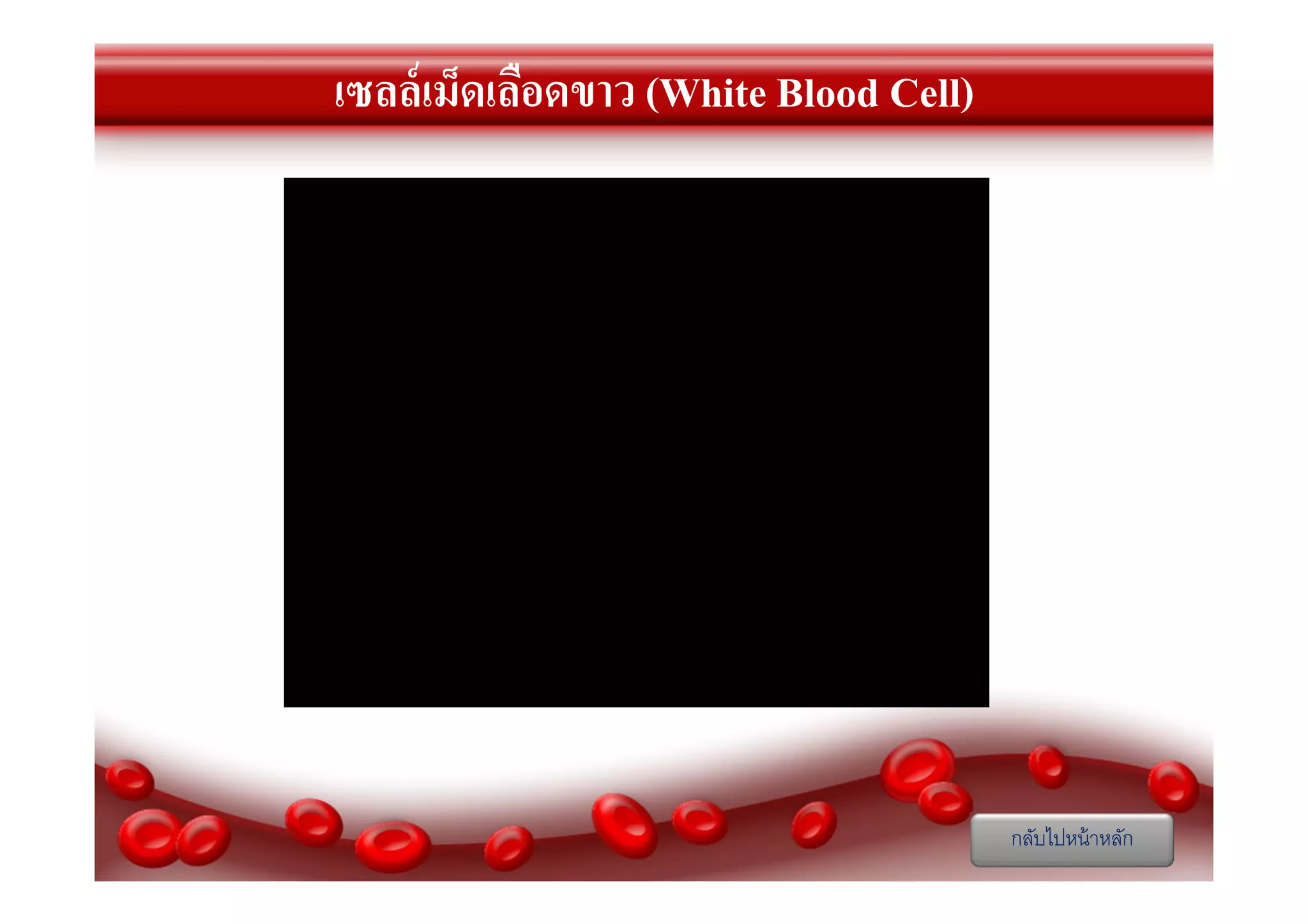 เซลล์เม็ดเลือดขาว (White Blood Cell)

กลับไปหน้ าหลัก

 