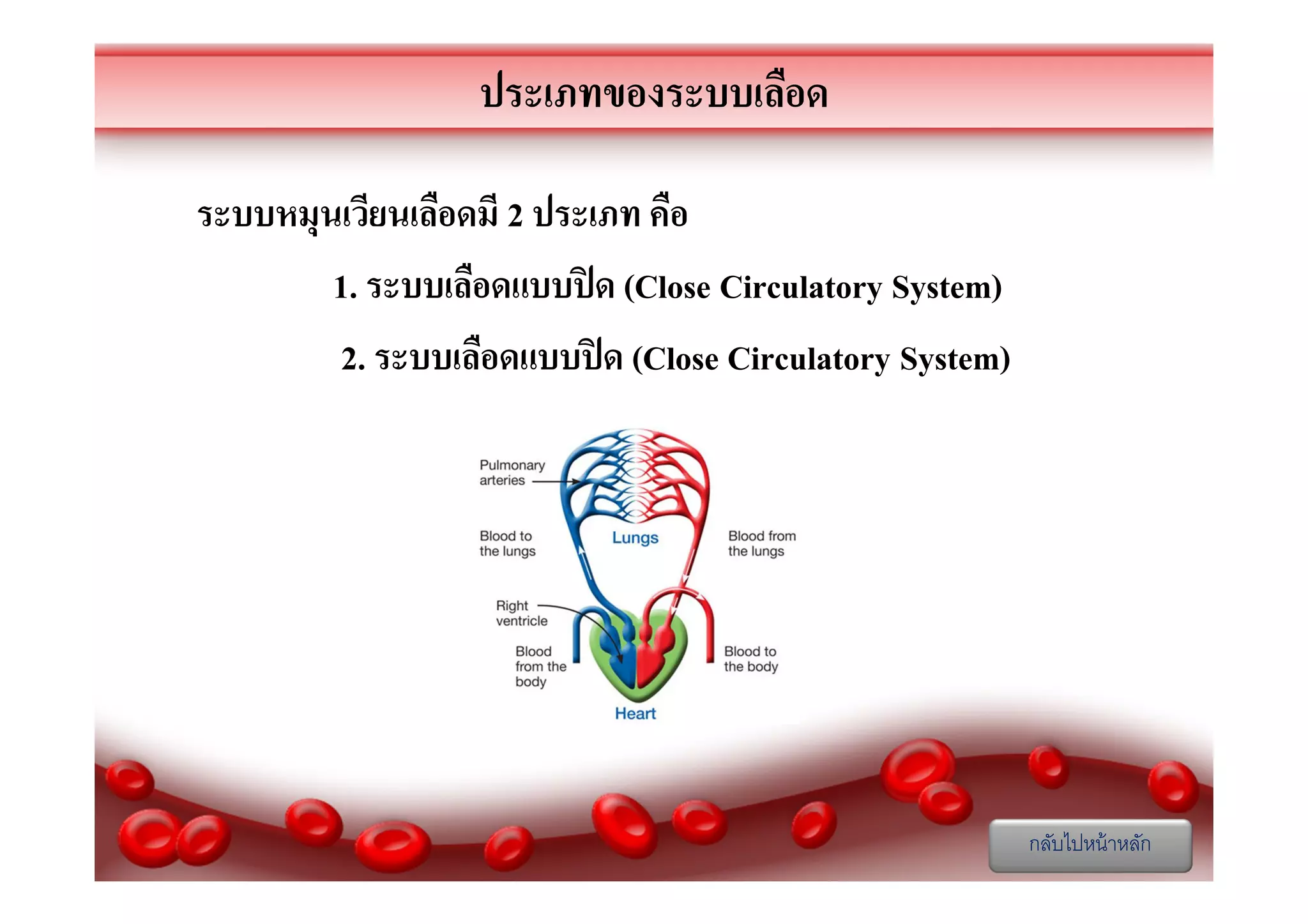 ประเภทของระบบเลือด
ระบบหมุนเวียนเลือดมี 2 ประเภท คือ
1. ระบบเลือดแบบปิ ด (Close Circulatory System)
2. ระบบเลือดแบบปิ ด (Close Circulatory System)

กลับไปหน้ าหลัก

 