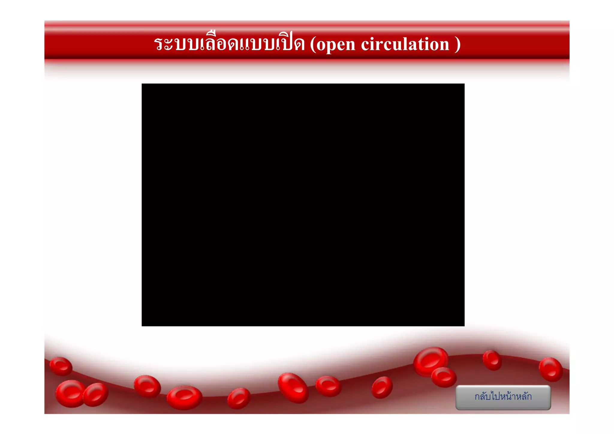 ระบบเลือดแบบเปิ ด (open circulation )

กลับไปหน้ าหลัก

 