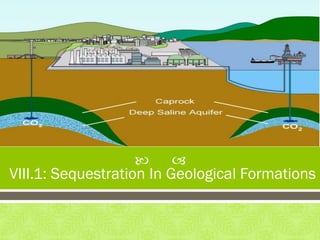 
VIII.1: Sequestration In Geological Formations
 
