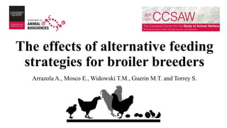 The effects of alternative feeding
strategies for broiler breeders
Arrazola A., Mosco E., Widowski T.M., Guerin M.T. and Torrey S.
 