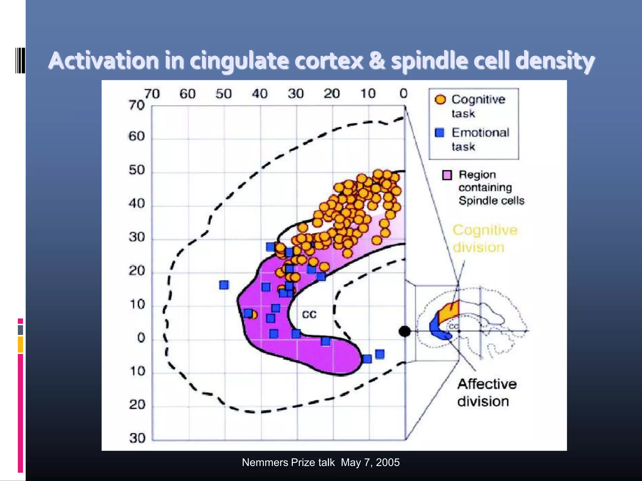 Nemmers Prize talk May 7, 2005
Activation in cingulate cortex & spindle cell density
 