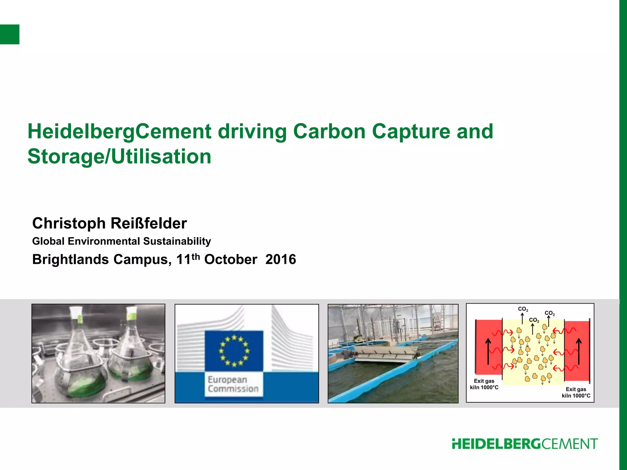 Carbon Capture and Storage in the Cement Industry | PDF