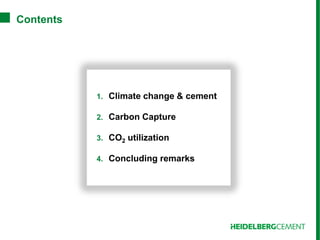 Carbon Capture and Storage in the Cement Industry | PDF