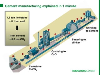 Carbon Capture and Storage in the Cement Industry | PDF