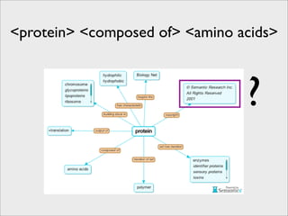 <protein> <composed of> <amino acids>



                                ?
 