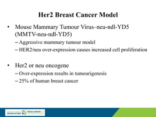 Her2 Breast Cancer Model
• Mouse Mammary Tumour Virus–neu-ndl-YD5
(MMTV-neu-ndl-YD5)
– Aggressive mammary tumour model
– HER2/neu over-expression causes increased cell proliferation
• Her2 or neu oncogene
– Over-expression results in tumourigenesis
– 25% of human breast cancer
 