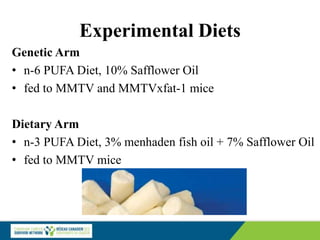 Experimental Diets
Genetic Arm
• n-6 PUFA Diet, 10% Safflower Oil
• fed to MMTV and MMTVxfat-1 mice
Dietary Arm
• n-3 PUFA Diet, 3% menhaden fish oil + 7% Safflower Oil
• fed to MMTV mice
 