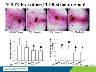 N-3 PUFA reduced TEB structures at 6
weeks
(n= 12-16 per diet)
0
5
10
15
20
25
Average
number
of
TEBs
a
a
b b
0
0.1
0.2
0.3
0.4
0.5
Average
density
of
TEBs
(TEB/mm
2
)
a
a
b b
10% Safflower 3% Flaxseed 10% Flaxseed 3% Menhaden
 