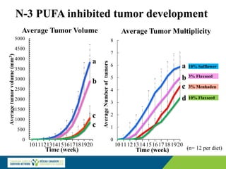 N-3 PUFA inhibited tumor development
Time (week)
10% Safflower
3% Flaxseed
10% Flaxseed
3% Menhaden
a
b
c
d
0
1
2
3
4
5
6
7
8
1011121314151617181920
Average
Number
of
tumors
0
500
1000
1500
2000
2500
3000
3500
4000
4500
5000
1011121314151617181920
Average
tumor
volume
(mm
3
)
a
b
c
c
Average Tumor Volume Average Tumor Multiplicity
Time (week) (n= 12 per diet)
 