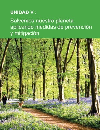 UNIDAD V :
Salvemos nuestro planeta
aplicando medidas de prevención
y mitigación
 