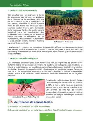 258
Ciencias Sociales 9 Grado
• Amenazas socio-naturales.
Son aquellas que se expresan a través
de fenómenos que parecen ser productos
de la dinámica de la naturaleza, pero que
en su ocurrencia o en la agudización de
sus efectos, interviene la acción humana.
Visto de otra forma, las amenazas socio-
naturales pueden definirse como la reacción
de la naturaleza frente a la acción humana
perjudicial para los ecosistemas. Las
expresiones más comunes de las amenazas
socios naturales se encuentran en las
inundaciones, deslizamientos, hundimientos,
sequías, erosión costera, incendios rurales y
agotamiento de acuíferos.
La deforestación y destrucción de cuencas, la desestabilización de pendientes por el minado
de sus bases, la minería subterránea, la destrucción de los manglares, la sobre explotación de
los suelos y la contaminación atmosférica, forman parte de las razones que dan explicación a
estas amenazas.
• Amenazas epidemiológicas.
Las amenazas epidemiológicas están relacionadas con el surgimiento de enfermedades
de forma masiva tal que la sociedad misma no puede hacer nada para parar el brote de la
misma, la epidemia puede ser considerada como el aumento inusual o aparición de un número
significativo de casos de una enfermedad infecciosa que se manifiesta con una frecuencia
mayor a la cual normalmente se presenta en esa región o población. Las epidemias pueden
también atacar a los animales, desencadenando desastres económicos en las regiones
afectadas.
Por ejemplo: La Peste negra devastó Europa
La mortalidad para los afectados era superior
al 75%: la mayor parte moría en la primera
semana tras la aparición de la enfermedad.
Otro ejemplo de este tipo de desastre
epidemiológico lo encontramos en la reciente
epidemia de dengue hemorrágico acaecido
en nuestros países
Actividades de consolidación.
Elaboremos un cuadro de los tipos de amenazas.
Elaboremos un cuadro de los peligros que conlleva los diferentes tipos de amenazas.
Deforestación de bosques
Zancudo del dengue (Aedes Aegypti)
 