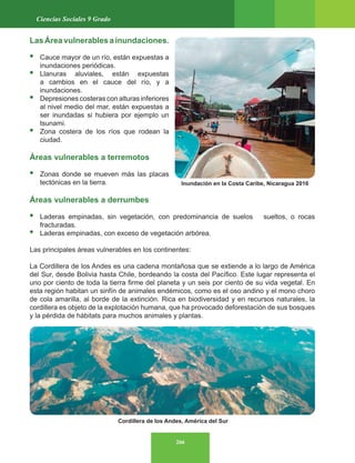 266
Ciencias Sociales 9 Grado
Las Área vulnerables a inundaciones.
• Cauce mayor de un río, están expuestas a
inundaciones periódicas.
• Llanuras aluviales, están expuestas
a cambios en el cauce del río, y a
inundaciones.
• Depresiones costeras con alturas inferiores
al nivel medio del mar, están expuestas a
ser inundadas si hubiera por ejemplo un
tsunami.
• Zona costera de los ríos que rodean la
ciudad.
Áreas vulnerables a terremotos
• Zonas donde se mueven más las placas
tectónicas en la tierra.
Áreas vulnerables a derrumbes
• Laderas empinadas, sin vegetación, con predominancia de suelos sueltos, o rocas
fracturadas.
• Laderas empinadas, con exceso de vegetación arbórea.
Las principales áreas vulnerables en los continentes:
La Cordillera de los Andes es una cadena montañosa que se extiende a lo largo de América
del Sur, desde Bolivia hasta Chile, bordeando la costa del Pacífico. Este lugar representa el
uno por ciento de toda la tierra firme del planeta y un seis por ciento de su vida vegetal. En
esta región habitan un sinfín de animales endémicos, como es el oso andino y el mono choro
de cola amarilla, al borde de la extinción. Rica en biodiversidad y en recursos naturales, la
cordillera es objeto de la explotación humana, que ha provocado deforestación de sus bosques
y la pérdida de hábitats para muchos animales y plantas.
Cordillera de los Andes, América del Sur
Inundación en la Costa Caribe, Nicaragua 2016
 