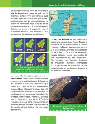 267
Educación Secundaria a Distancia en el Campo
Pérdida de vegetación en la Isla
Borneo en el transcurso del tiempo
En la costa oriental de África se encuentra la
Isla de Madagascar, hogar de millones de
personas. También viven allí plantas y aves
únicas en el planeta, así como un gran número
de lémures (primate de cola anillada) que no
existen en ningún otro lugar. A causa de los
estragos del ser humano, solo se conserva el
diecisiete por ciento de la vegetación original,
y especies foráneas han invadido la isla,
eliminando la flora y la fauna autóctonas.
La Isla de Borneo es una hermosa y
exuberante isla que divide Brunei, Malasia e
Indonesia. De allí son endémicos el famoso
orangután de Borneo, los elefantes pigmeos
y el rinoceronte de Sumatra, todos al borde
de la extinción. Cada año se descubren
nuevas especies en ella que prueban la
alta biodiversidad de este ecosistema.
Sin embargo, sus bosques tropicales
se encuentran altamente amenazados
por la pérdida de hectáreas ante la tala
indiscriminada, las plantaciones de palma y
los incendios forestales.
La línea de la costa que rodea el
Mediterráneo ha sido lugar de asentamientos
humanos a lo largo de las épocas. En la cuenca
del Mediterráneo existe una biodiversidad que
supera con creces la de todo el continente
europeo. No se nos ocurriría pensar que este
lugar puede desaparecer y, sin embargo, la
continua actividad humana como instalaciones
turísticas, deforestación, incendios, pastoreo
han ido destruyendo más de un 90% de la
vegetación de esta zona. Precisamente allí
habitan dos de los animales más amenazados
del planeta: el lince ibérico y la foca monje
mediterránea.
El estrecho entre el Atlántico y el mar
Mediterráneo
 