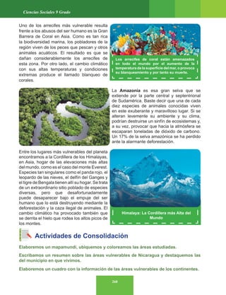 268
Ciencias Sociales 9 Grado
Himalaya: La Cordillera más Alta del
Mundo
Los arrecifes de coral están amenazados
en todo el mundo por el aumento de la
temperatura de la superficie del mar, o provoca
su blanqueamiento y por tanto su muerte.
Uno de los arrecifes más vulnerable resulta
frente a los abusos del ser humano es la Gran
Barrera de Coral en Asia. Como es tan rica
la biodiversidad marina, los pobladores de la
región viven de los peces que pescan y otros
animales acuáticos. El resultado es que se
dañan considerablemente los arrecifes de
esta zona. Por otro lado, el cambio climático
con sus altas temperaturas y condiciones
extremas produce el llamado blanqueo de
corales.
La Amazonia es esa gran selva que se
extiende por la parte central y septentrional
de Sudamérica. Baste decir que una de cada
diez especies de animales conocidas viven
en este exuberante y maravilloso lugar. Si se
alteran levemente su ambiente y su clima,
podrían destruirse un sinfín de ecosistemas y,
a su vez, provocar que hacia la atmósfera se
escaparan toneladas de dióxido de carbono.
Un 17% de la selva amazónica se ha perdido
ante la alarmante deforestación.
Entre los lugares más vulnerables del planeta
encontramos a la Cordillera de los Himalayas,
en Asia, hogar de las elevaciones más altas
del mundo, como es el caso del monte Everest.
Especies tan singulares como el panda rojo, el
leopardo de las nieves, el delfín del Ganges y
el tigre de Bengala tienen allí su hogar. Se trata
de un extraordinario sitio poblado de especies
diversas, pero que desafortunadamente
puede desaparecer bajo el empuje del ser
humano que lo está destruyendo mediante la
deforestación y la caza ilegal de animales. El
cambio climático ha provocado también que
se derrita el hielo que rodea los altos picos de
los montes.
Actividades de Consolidación
Elaboremos un mapamundi, ubiquemos y coloreamos las áreas estudiadas.
Escribamos un resumen sobre las áreas vulnerables de Nicaragua y destaquemos las
del municipio en que vivimos.
Elaboremos un cuadro con la información de las áreas vulnerables de los continentes.
 