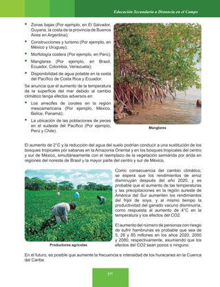 277
Educación Secundaria a Distancia en el Campo
• Zonas bajas (Por ejemplo, en El Salvador,
Guyana, la costa de la provincia de Buenos
Aires en Argentina);
• Construcciones y turismo (Por ejemplo, en
México y Uruguay);
• Morfología costera (Por ejemplo, en Perú);
• Manglares (Por ejemplo, en Brasil,
Ecuador, Colombia, Venezuela);
• Disponibilidad de agua potable en la costa
del Pacífico de Costa Rica y Ecuador.
Se anuncia que el aumento de la temperatura
de la superficie del mar debido al cambio
climático tenga efectos adversos en:
• Los arrecifes de corales en la región
mesoamericana (Por ejemplo, México,
Belice, Panamá);
• La ubicación de las poblaciones de peces
en el sudeste del Pacífico (Por ejemplo,
Perú y Chile).
El aumento de 2°C y la reducción del agua del suelo podrían conducir a una sustitución de los
bosques tropicales por sabanas en la Amazonia Oriental y en los bosques tropicales del centro
y sur de México, simultáneamente con el reemplazo de la vegetación semiárida por árida en
regiones del noreste de Brasil y la mayor parte del centro y sur de México.
Como consecuencia del cambio climático,
se espera que los rendimientos de arroz
disminuyan después del año 2020, y es
probable que el aumento de las temperaturas
y las precipitaciones en la región sureste de
América del Sur aumenten los rendimientos
del frijol de soya, y al mismo tiempo la
productividad del ganado vacuno disminuiría,
como respuesta al aumento de 4°C en la
temperatura y los efectos del CO2.
El aumento del número de personas con riesgo
de sufrir hambrunas es probable que sea de
5, 26 y 85 millones en los años 2020, 2050
y 2080, respectivamente, asumiendo que los
efectos del CO2 sean pocos o ninguno.
En el futuro, es posible que aumente la frecuencia e intensidad de los huracanes en la Cuenca
del Caribe.
Manglares
Productores agrícolas
 