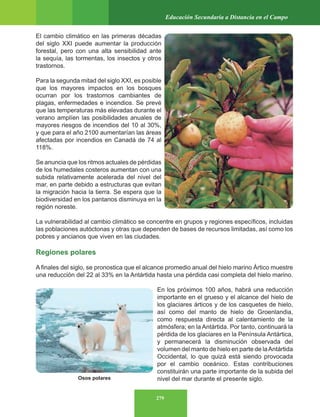 279
Educación Secundaria a Distancia en el Campo
El cambio climático en las primeras décadas
del siglo XXI puede aumentar la producción
forestal, pero con una alta sensibilidad ante
la sequía, las tormentas, los insectos y otros
trastornos.
Para la segunda mitad del siglo XXI, es posible
que los mayores impactos en los bosques
ocurran por los trastornos cambiantes de
plagas, enfermedades e incendios. Se prevé
que las temperaturas más elevadas durante el
verano amplíen las posibilidades anuales de
mayores riesgos de incendios del 10 al 30%,
y que para el año 2100 aumentarían las áreas
afectadas por incendios en Canadá de 74 al
118%.
Se anuncia que los ritmos actuales de pérdidas
de los humedales costeros aumentan con una
subida relativamente acelerada del nivel del
mar, en parte debido a estructuras que evitan
la migración hacia la tierra. Se espera que la
biodiversidad en los pantanos disminuya en la
región noreste.
La vulnerabilidad al cambio climático se concentre en grupos y regiones específicos, incluidas
las poblaciones autóctonas y otras que dependen de bases de recursos limitadas, así como los
pobres y ancianos que viven en las ciudades.
Regiones polares
A finales del siglo, se pronostica que el alcance promedio anual del hielo marino Ártico muestre
una reducción del 22 al 33% en la Antártida hasta una pérdida casi completa del hielo marino.
En los próximos 100 años, habrá una reducción
importante en el grueso y el alcance del hielo de
los glaciares árticos y de los casquetes de hielo,
así como del manto de hielo de Groenlandia,
como respuesta directa al calentamiento de la
atmósfera; en la Antártida. Por tanto, continuará la
pérdida de los glaciares en la Península Antártica,
y permanecerá la disminución observada del
volumen del manto de hielo en parte de laAntártida
Occidental, lo que quizá está siendo provocada
por el cambio oceánico. Estas contribuciones
constituirán una parte importante de la subida del
nivel del mar durante el presente siglo.
Osos polares
 