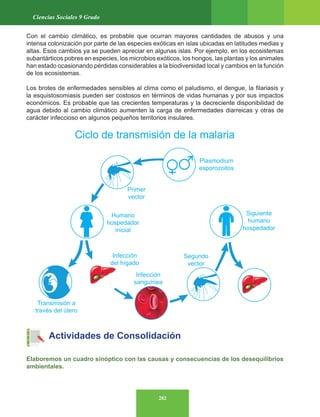 282
Ciencias Sociales 9 Grado
Con el cambio climático, es probable que ocurran mayores cantidades de abusos y una
intensa colonización por parte de las especies exóticas en islas ubicadas en latitudes medias y
altas. Esos cambios ya se pueden apreciar en algunas islas. Por ejemplo, en los ecosistemas
subantárticos pobres en especies, los microbios exóticos, los hongos, las plantas y los animales
han estado ocasionando pérdidas considerables a la biodiversidad local y cambios en la función
de los ecosistemas.
Los brotes de enfermedades sensibles al clima como el paludismo, el dengue, la filariasis y
la esquistosomiasis pueden ser costosos en términos de vidas humanas y por sus impactos
económicos. Es probable que las crecientes temperaturas y la decreciente disponibilidad de
agua debido al cambio climático aumenten la carga de enfermedades diarreicas y otras de
carácter infeccioso en algunos pequeños territorios insulares.
Actividades de Consolidación
Elaboremos un cuadro sinóptico con las causas y consecuencias de los desequilibrios
ambientales.
 