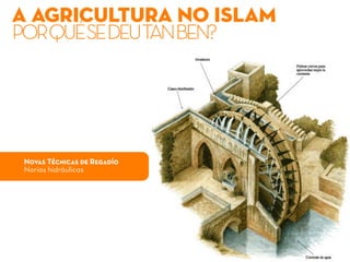 A AGRICULTURA NO ISLAM
PORQUÉSEDEUTANBEN?
Novas Técnicas de Regadío
Norias hidráulicas
 