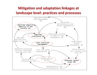 Synergies between climate change mitigation and adaptation measures in ...