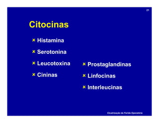 Citocinas
 Histamina
 Serotonina
 Leucotoxina
 Cininas
 Prostaglandinas
 Linfocinas
 Interleucinas
Cicatrização da Ferida Operatória
21
 