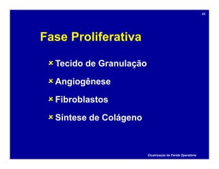 Fase Proliferativa
Tecido de Granulação
Angiogênese
Fibroblastos
Síntese de Colágeno
Cicatrização da Ferida Operatória
23
 