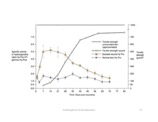 27Cicatrização da Ferida Operatória
 