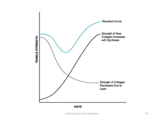 Cicatrização da Ferida Operatória 28
 