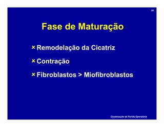 Fase de Maturação
Remodelação da Cicatriz
Contração
Fibroblastos > Miofibroblastos
Cicatrização da Ferida Operatória
29
 