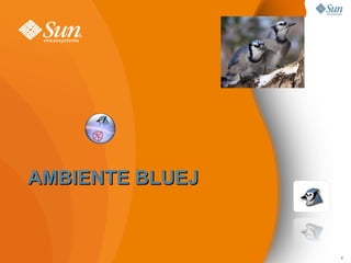 AMBIENTE BLUEJ 