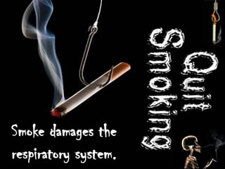 Smoke damages the
respiratory system.
 