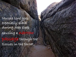 Muscle tone goes
especially slack
during deep sleep
causing a narrow
passage through the
tissues in the throat.
 