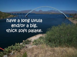 have a long uvula
  and/or a big,
thick soft palate.
 