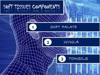 SOFT TISSUES COMPONENTS


           1         SOFT PALATE



                 2            UVULA


                          3    TONSILS
 