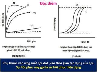 Đặc điểm
Phụ thuộc vào ứng suất lực đặt ,vào thời gian tác dụng của lực.
Sự hồi phục này gọi là sự hồi phục biến dạng
 