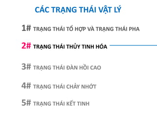 CÁC TRẠNG THÁI VẬT LÝ
1# TRẠNG THÁI TỔ HỢP VÀ TRẠNG THÁI PHA
2# TRẠNG THÁI THỦY TINH HÓA
3# TRẠNG THÁI ĐÀN HỒI CAO
4# TRẠNG THÁI CHẢY NHỚT
5# TRẠNG THÁI KẾT TINH
 