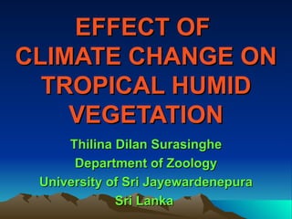 EFFECT OF  CLIMATE CHANGE ON TROPICAL HUMID VEGETATION Thilina Dilan Surasinghe Department of Zoology University of Sri Jayewardenepura Sri Lanka   