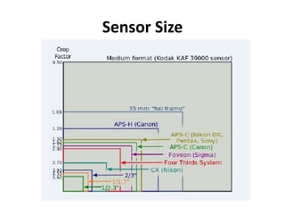 Sensor Size
 